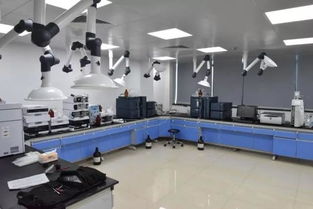 號外！玉環市食品藥品檢驗檢測中心搬家啦，家政服務同步煥新